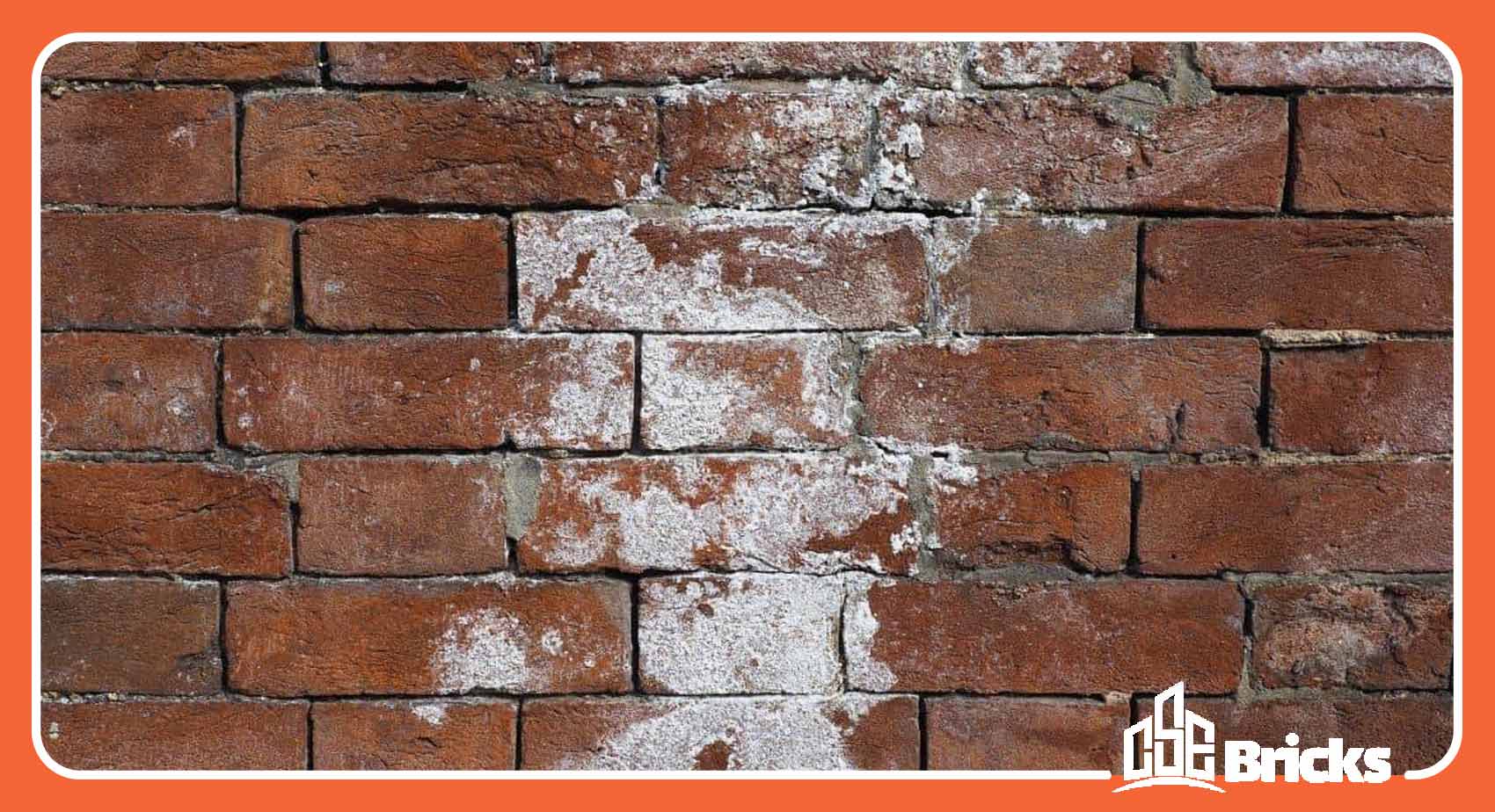 Regular Inspection of Brick Walls