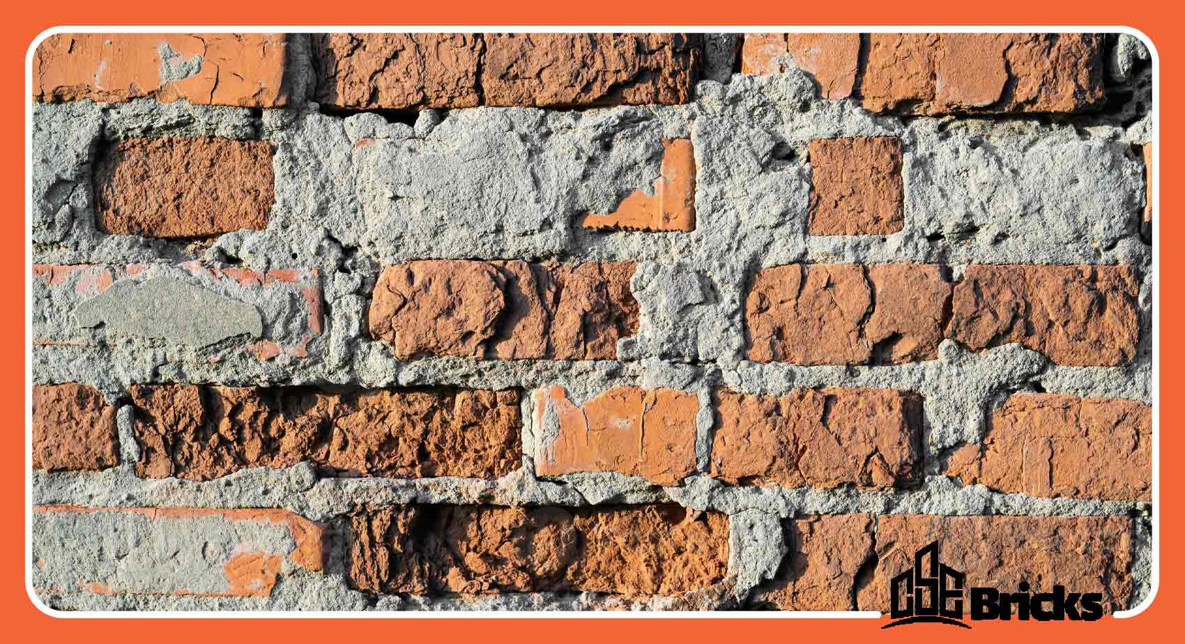 Alveolar Efflorescence in Bricks