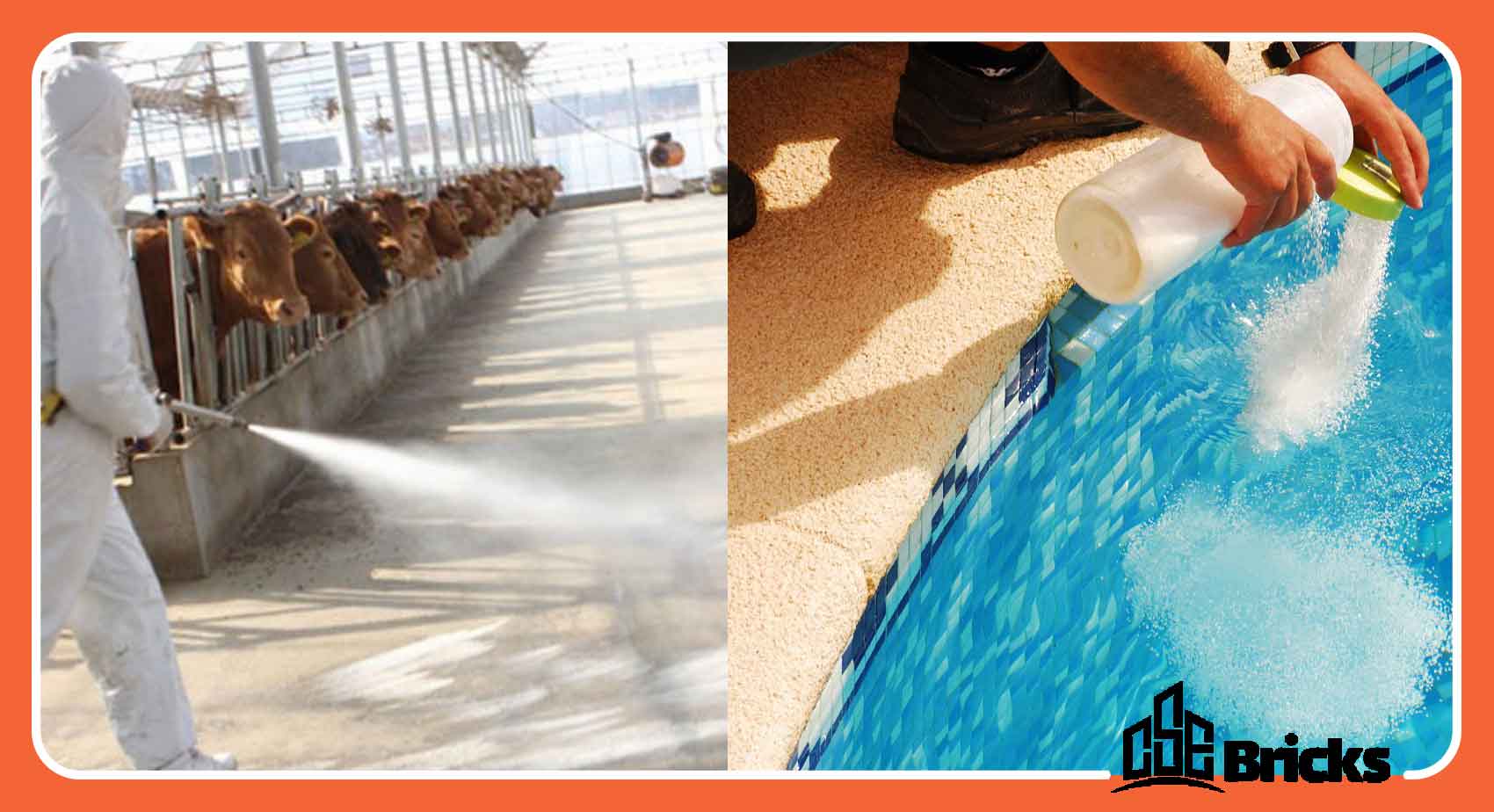 Disinfection of the Environment